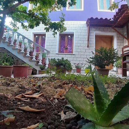 Guesthouse Hlias Gloria Berat Esterno foto